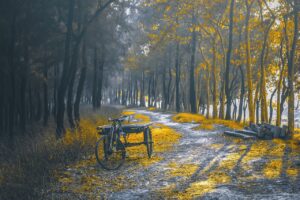 6 najlepszych wózków rowerowych dla dzieci